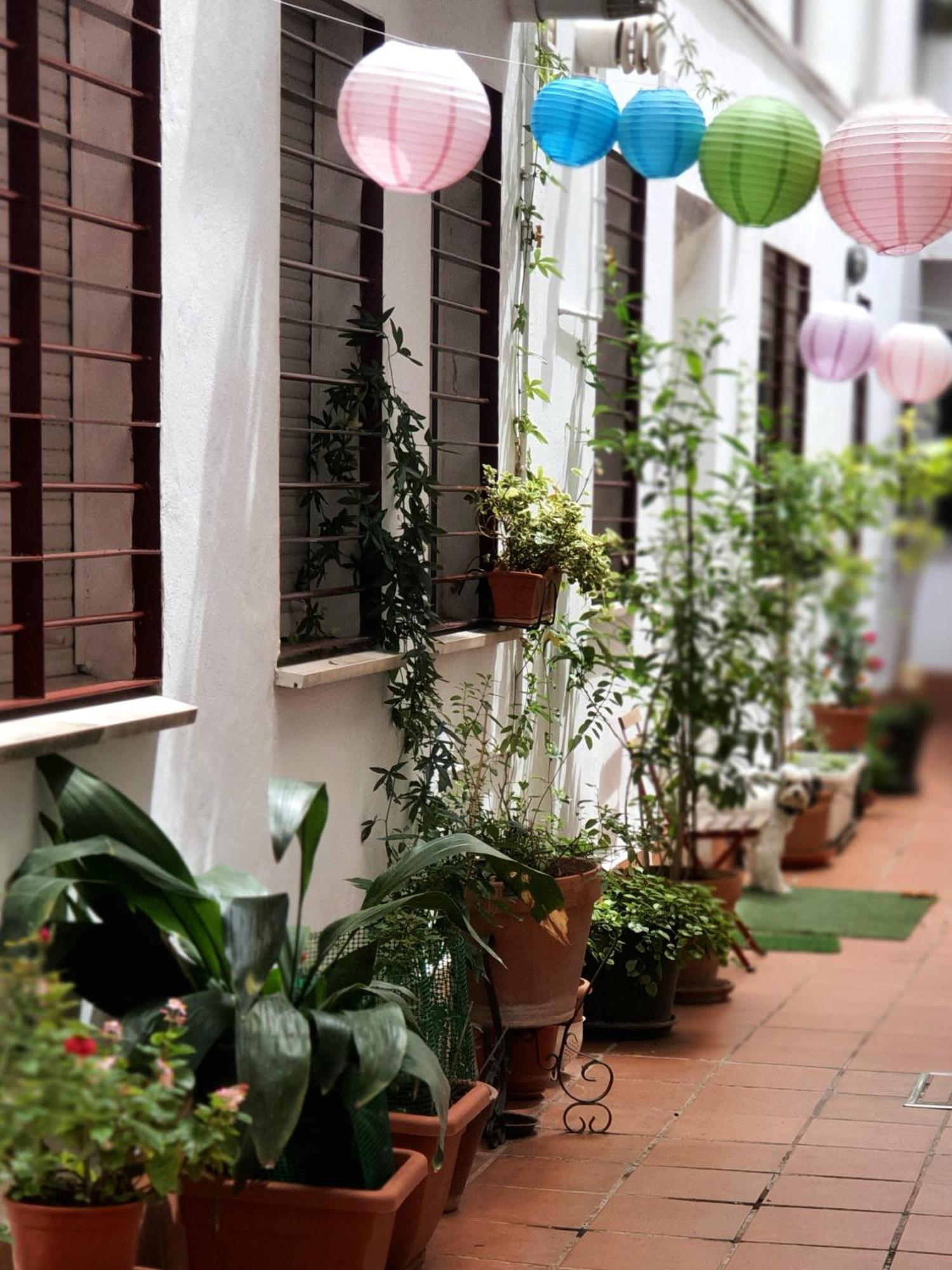 Centuria Macarena, Apartamento Duplex